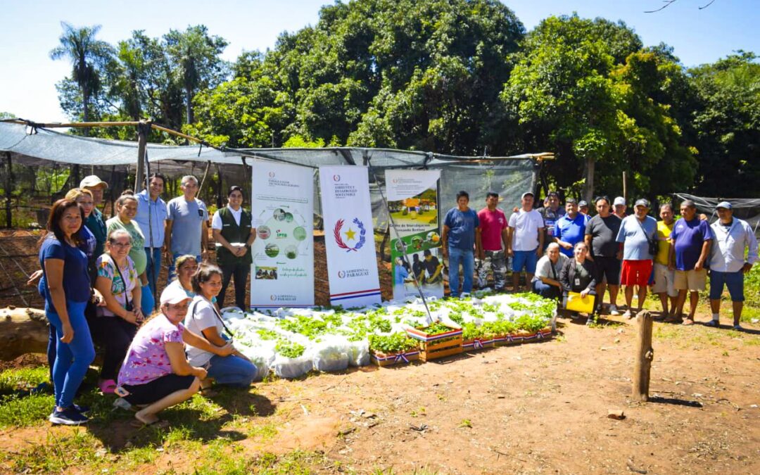 MADES e IPTA trabajan de manera institucional para fortalecer la producción frutihortícola en Areguá
