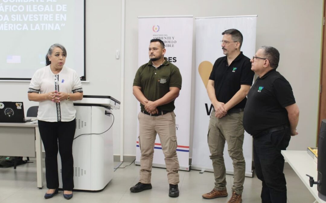MADES y WCS fortalecen acciones contra el tráfico ilegal de fauna silvestre