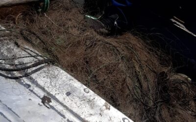 Operativo en el Manduvirá elimina redes y espineles instalados en plena veda