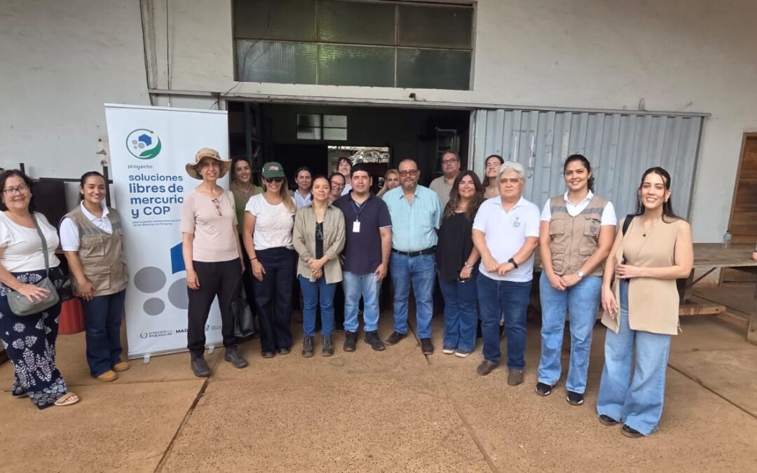 Avances y cooperación en gestión de residuos con mercurio y COP