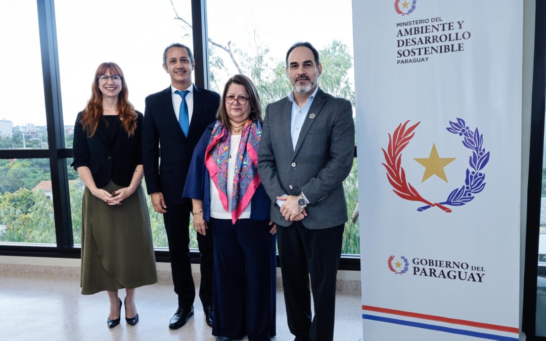 MADES y PNUD fortalecen la implementación de proyectos para la protección de la capa de ozono