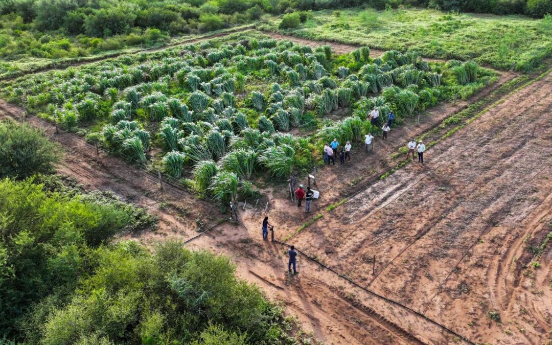 MADES en territorio: destacan avances de proyectos y fortalecen diálogo con comunidades del Chaco