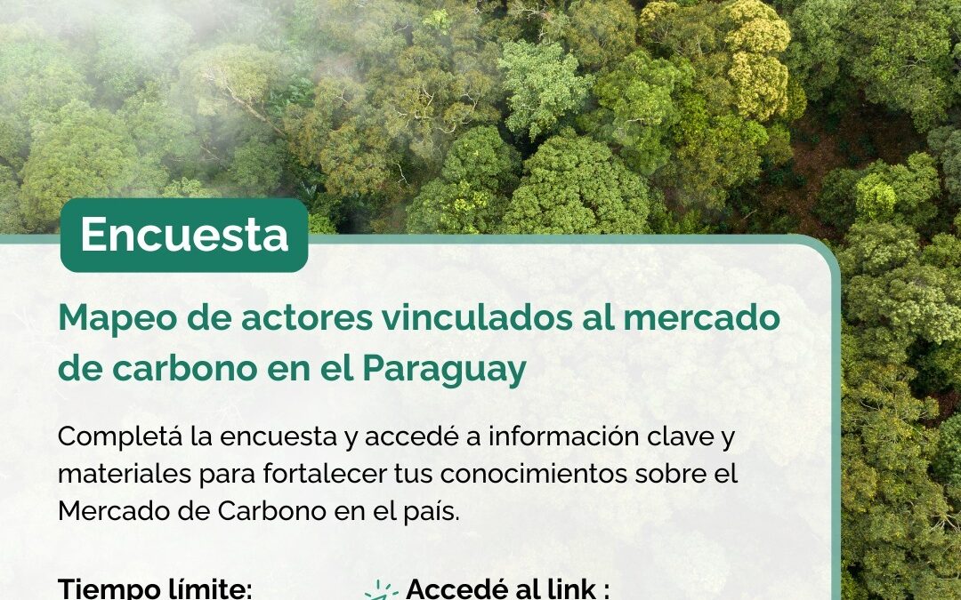 Encuesta abierta para actualizar el mapeo de actores del mercado de carbono