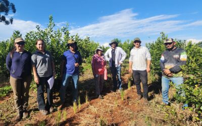MADES realiza gira territorial para fortalecer el INGEI y medidas de mitigación