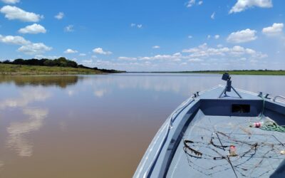 MADES decomisa 800 metros de espineles de alambre en ríos Paraguay y Tebicuary