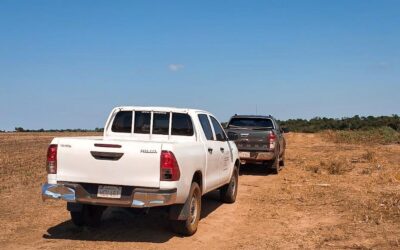 Fiscalizadores del MADES verifican presunta tala ilegal en Santa Rita