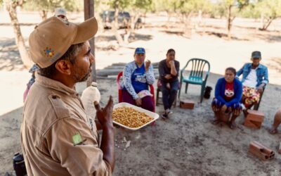 MADES realiza seguimiento a comunidades beneficiarias de Boquerón y fortalece el trabajo de mujeres productoras