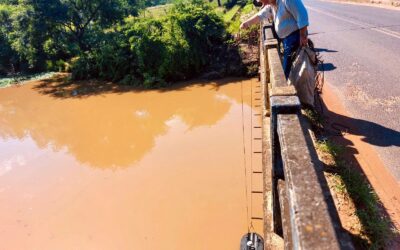 Análisis del caudal y calidad de afluentes en la región central