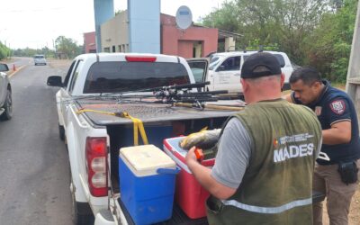 Ayolas: MADES realiza controles de pesca en el río Paraná