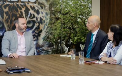 MADES fortalece cooperación con GGGI para impulsar mercados de carbono y energías sostenibles