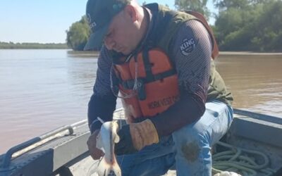 Control fluvial en zona de confluencia del río Paraguay y Paraná