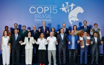 Paraguay reafirma su liderazgo regional en la conservación de especies migratorias durante la COP15