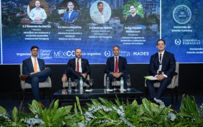 «Paraguay en el centro del diálogo sobre carbono y sostenibilidad»