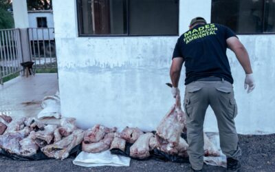 MADES decomisa 150 kg de carne de caimán yacaré en Ñeembucú