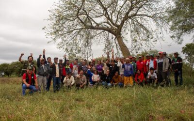 Comunidades indígenas del Chaco se capacitan en servicios ambientales y créditos de carbono