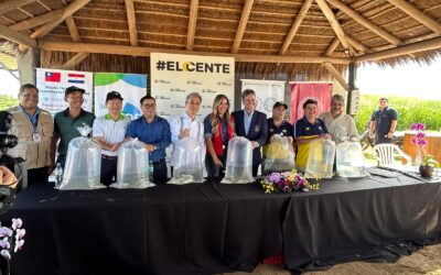 MADES acompaña siembra ecológica de peces nativos para fortalecer la fauna ictícola