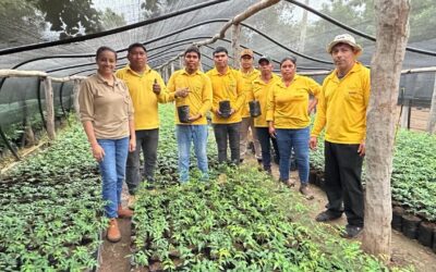 Modelo productivo sostenible en el Chaco fortalece protagonismo de comunidad Ayoreo