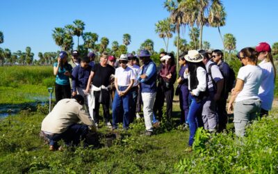 Paraguay se posiciona como hub de mercados de carbono con visita oficial a proyecto en el Chaco
