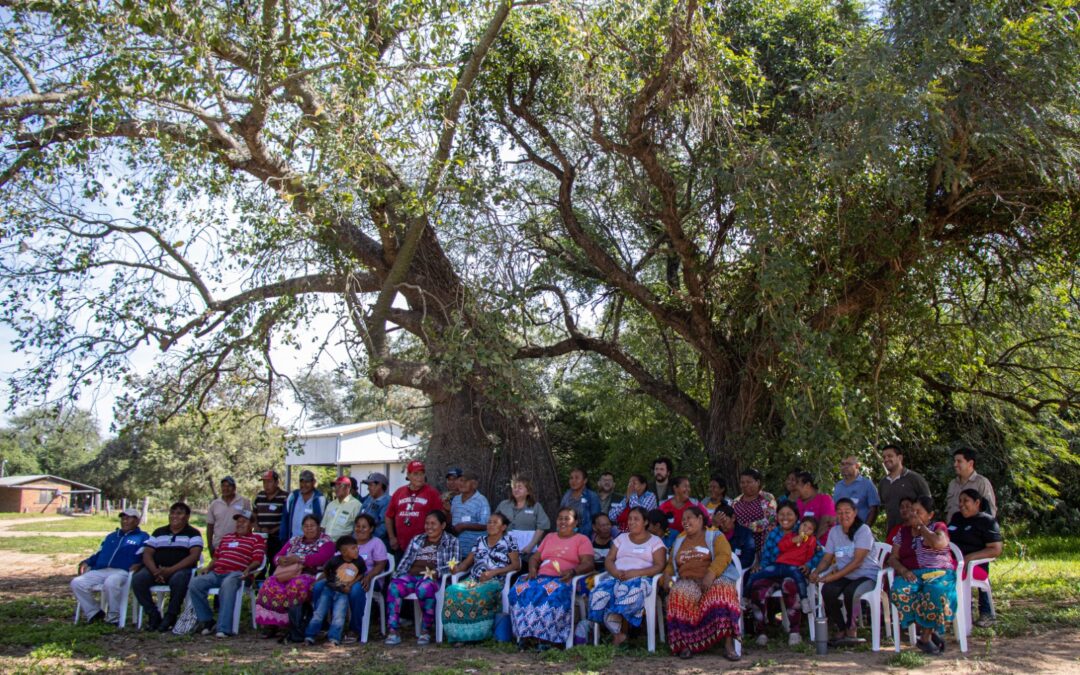 Mades en territorio: Ordenamiento territorial y políticas ambientales en comunidades indígenas del Chaco
