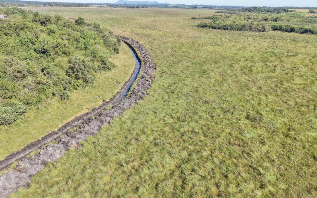 Guairá: MADES interviene establecimiento agropecuario por incumplimiento ambiental