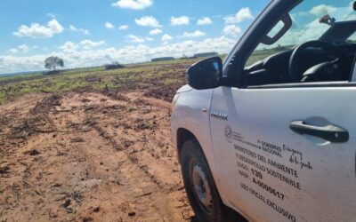 San Pedro: Detectaron irregularidades en establecimiento agropecuario
