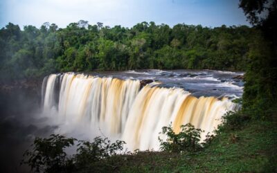 Nueva Reserva de Biosfera del Paraguay pone en valor áreas silvestres protegidas del MADES