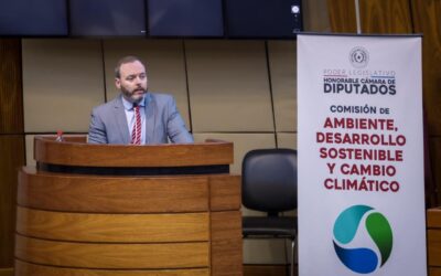 Ambiente y desarrollo: un diálogo clave para el futuro del Paraguay.