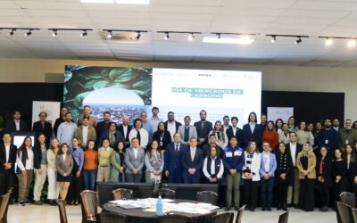 MADES impulsa la construcción de la Estrategia Nacional de Mercados de Carbono para fortalecer la acción climática del Paraguay