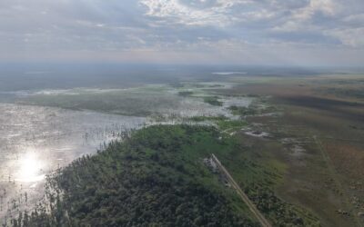 MADES realiza monitoreo ambiental con drones en zonas arroceras de Ñeembucú