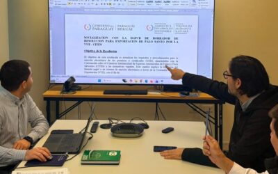 MADES avanza en la emisión electrónica de permisos CITES para la exportación de Palo Santo