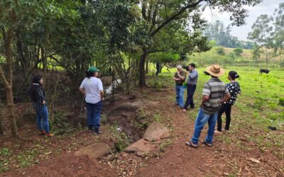 MADES fortalece acciones para proteger las nacientes en San Rafael