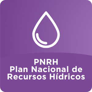  PNDS 