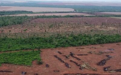 MADES verificó presunto cambio de uso de suelo en Curuzú de Hierro, Concepción