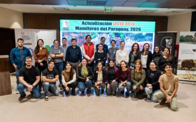 Paraguay avanza en la actualización de la Lista Roja de mamíferos amenazados con respaldo científico internacional